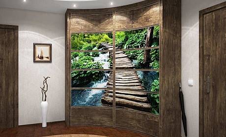 ����-���� 250